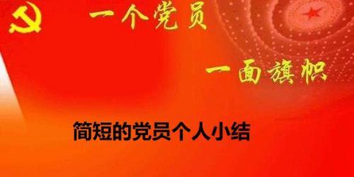 简短的党员个人小结3篇（2019——2020）
