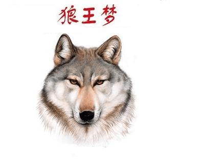 《狼王梦》读后感400字精选三篇