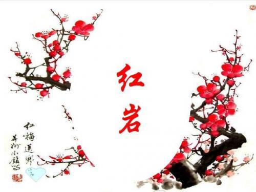 《红岩》读后感900字
