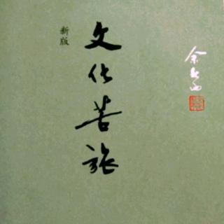 《文化苦旅》读后感600字精选三篇