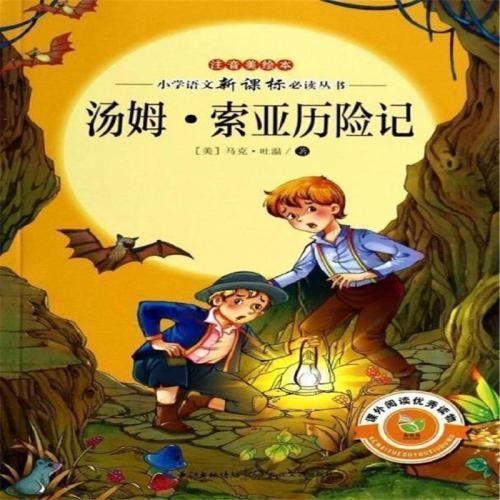 《汤姆索亚历险记》读后感1000字精选三篇