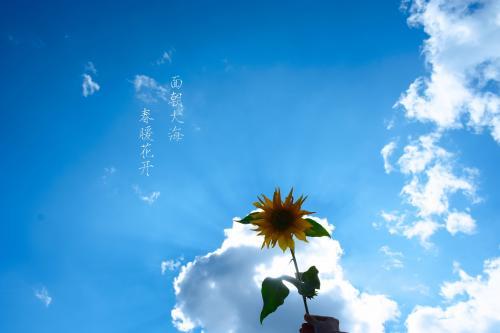 5篇高中优秀读后感600字以上