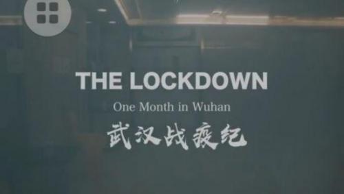 《武汉战疫纪》观后感大全
