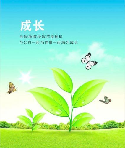 成长岁月