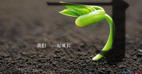 成长烦恼的作文三则