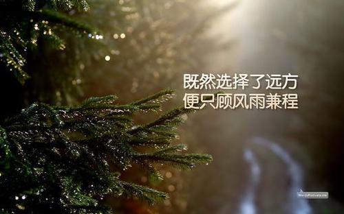 高中青春校园励志书籍