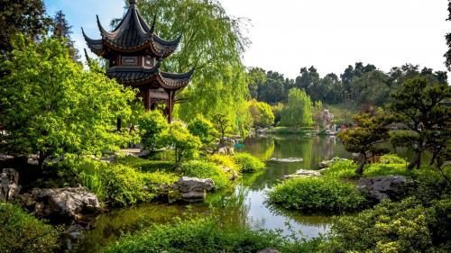 社交沟通技巧：幽默是可解百毒的药草