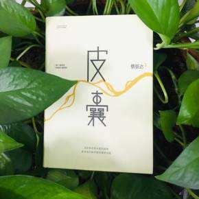 《皮囊》读后感1000字