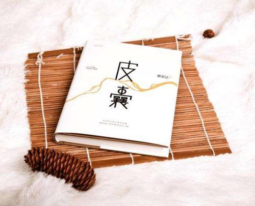 《皮囊》读后感1500字