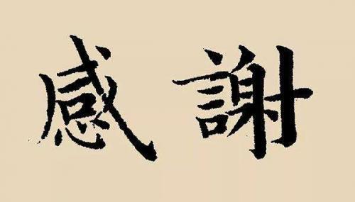 正规的感谢信范文三篇