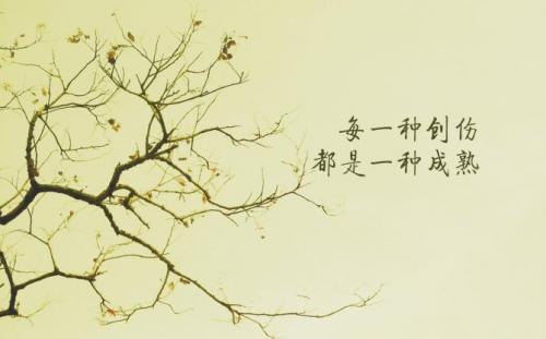 无奋斗不青春作文摘抄
