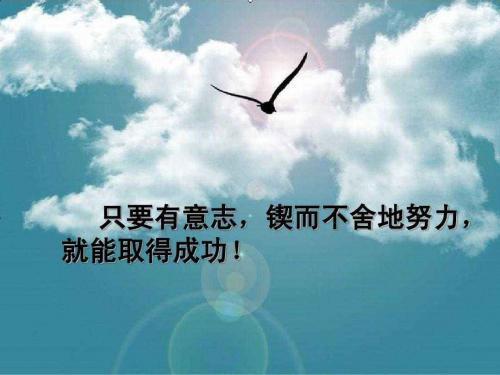 关于理想的作文精选