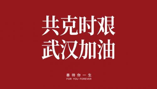 高中抗击“新冠”病毒作文素材大全