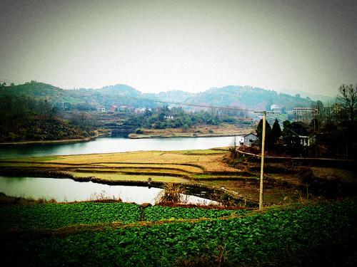对家乡的热爱作文精选