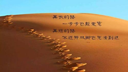 值得读的外国名著十本