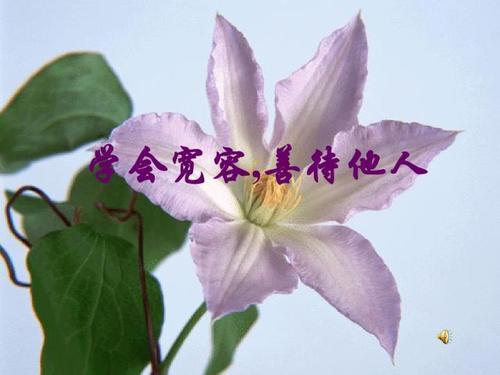 关于宽容的作文素材三则
