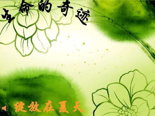 生命的价值作文800字三篇