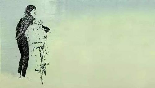 《目送》|书籍简介