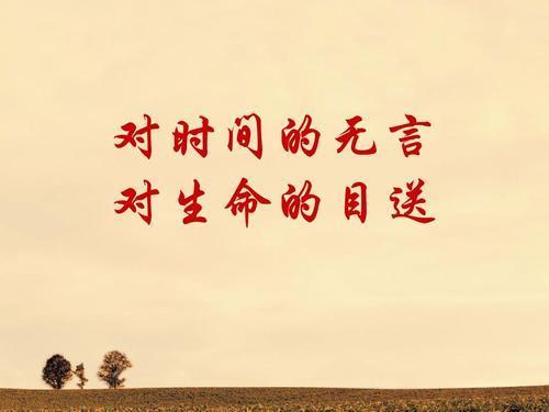 《目送》经典段落摘抄