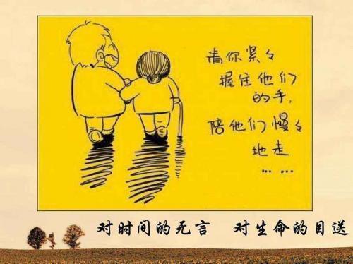 《目送》读后感大全