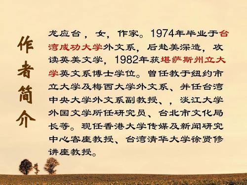 《目送》读后感精选三篇
