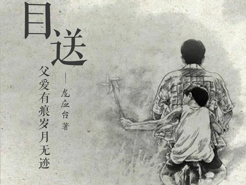 《目送》读书笔记整理