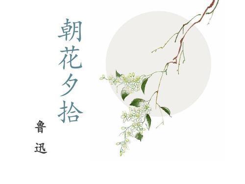 《朝花夕拾》读书笔记大全