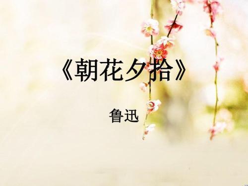 《朝花夕拾》读书笔记三篇