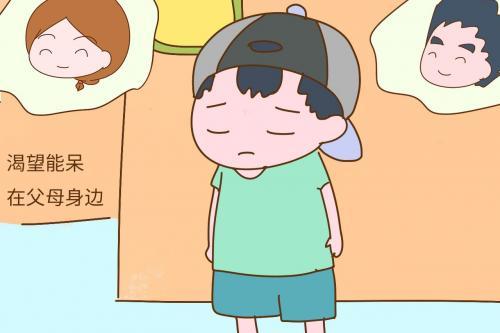 以陪伴为主题的作文素材精选三篇