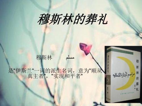 《穆斯林的葬礼》好句摘抄