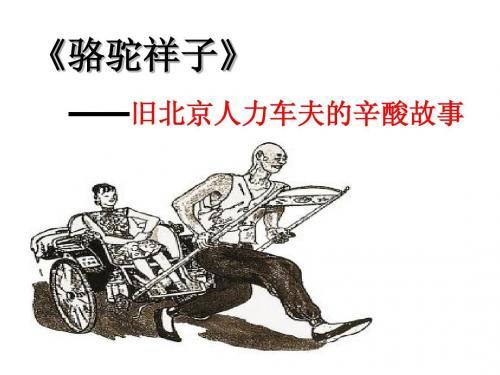 《骆驼祥子》读后感800字大全