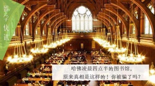 《哈佛凌晨四点半》|书籍简介