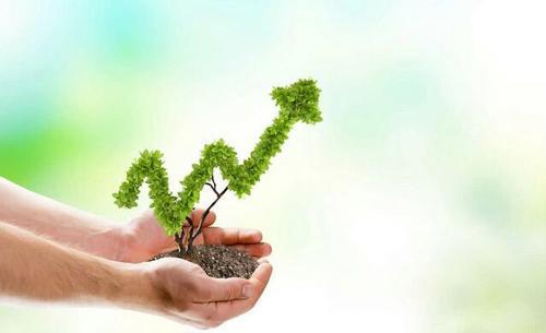 2020最新关于保护生态环境的作文