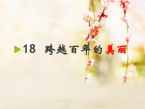 《跨越百年的美丽》|书籍简介