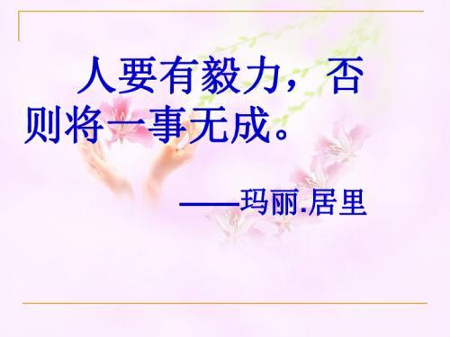 《跨越百年的美丽》句子摘抄