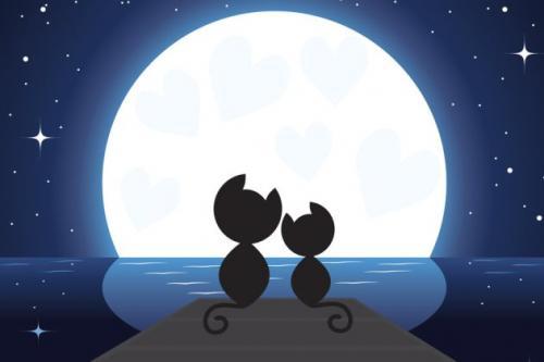 甜蜜暖心，七夕情侣发的恩爱说说