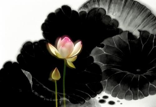 描写景物的美文片段精选50篇