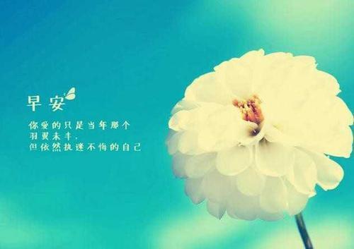 朋友圈早安说说大全