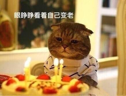 朋友圈可爱的生日文案