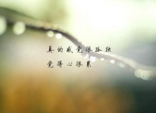 催泪无比，心情忧伤无奈的句子