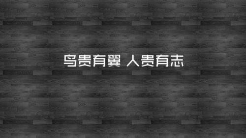 充满内涵，每日简短打卡语录