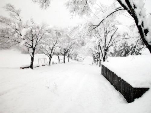 唯美舒心，下雪发朋友圈的心情短句