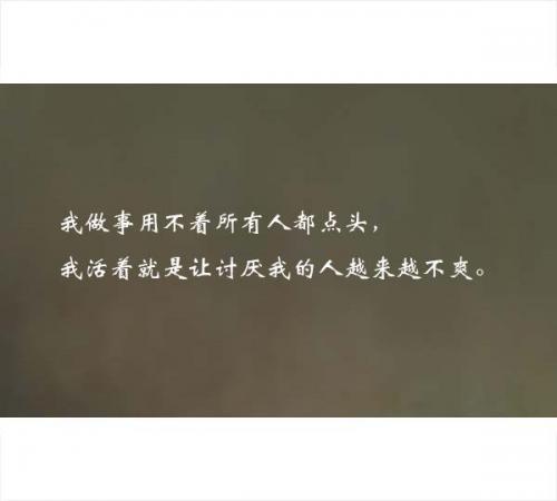 2019年土味社会语录