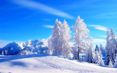 关于第一场雪的说说
