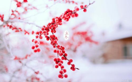经典散文段落摘抄大全