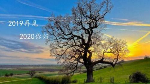 写给2020年的自己的说说精选