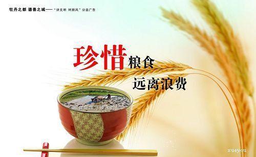 珍惜粮食的好句60句