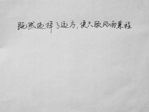 关于风雨兼程的优美句子50句