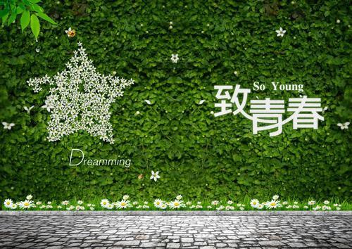 花火经典语录青春的语句40句
