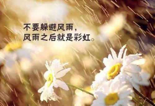 创业语录正能量40句